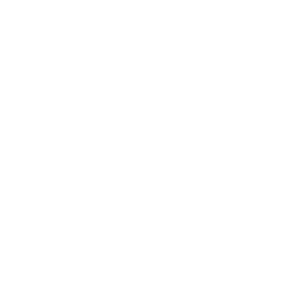 Blitz